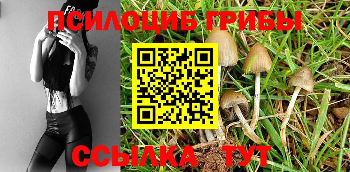 Псилоцибиновые грибы Cubensis  Псилоцибиновые грибы GOLDEN TEACHER  Вход с VPN  Нефтекумск 
