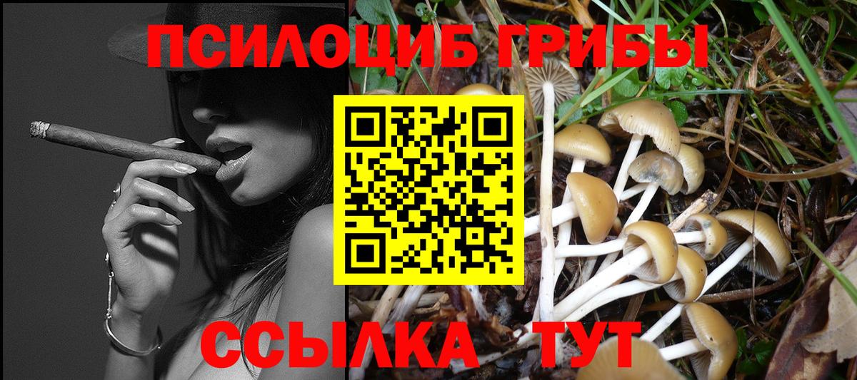 Галлюциногенные грибы MAGIC MUSHROOMS Нефтекумск